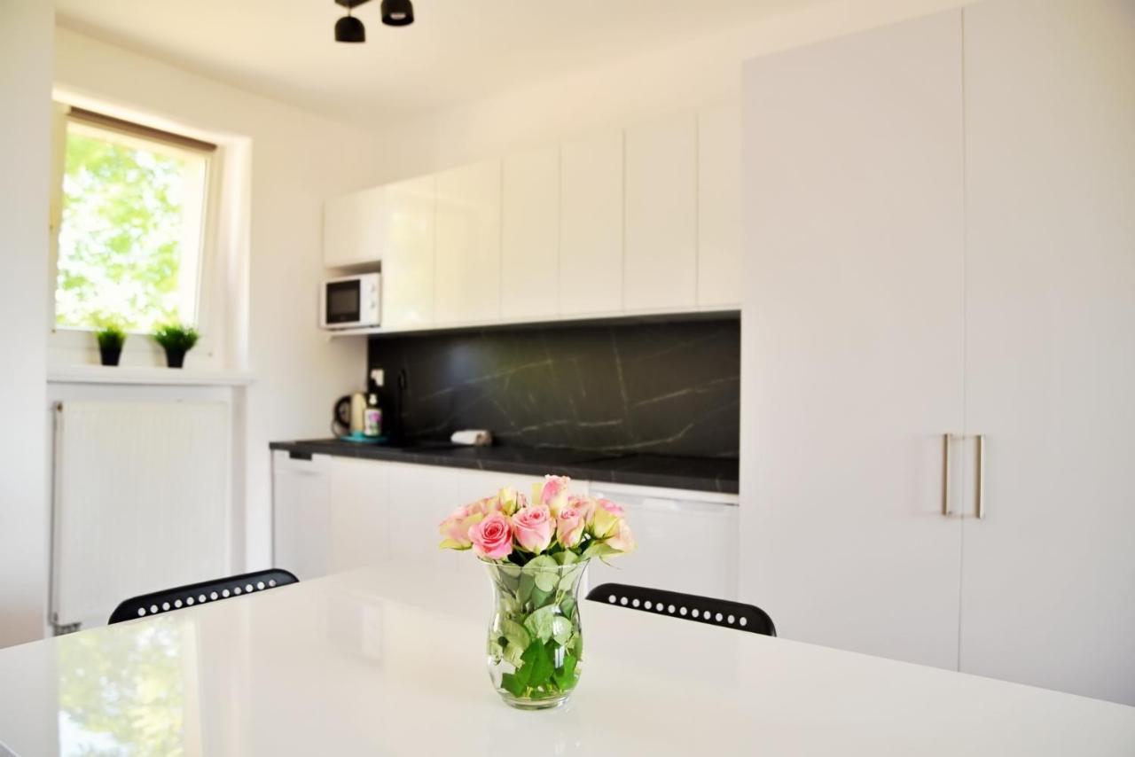 Apartamenty Lotnisko Leszno Leszno  Εξωτερικό φωτογραφία